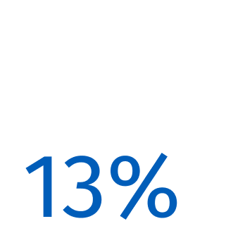 13% 13%