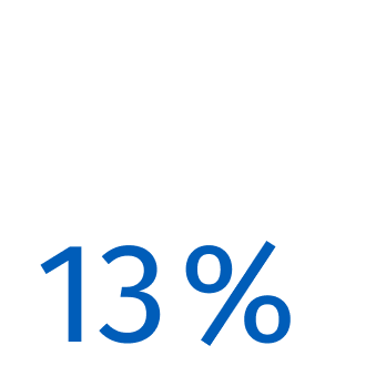 13 % 13 %