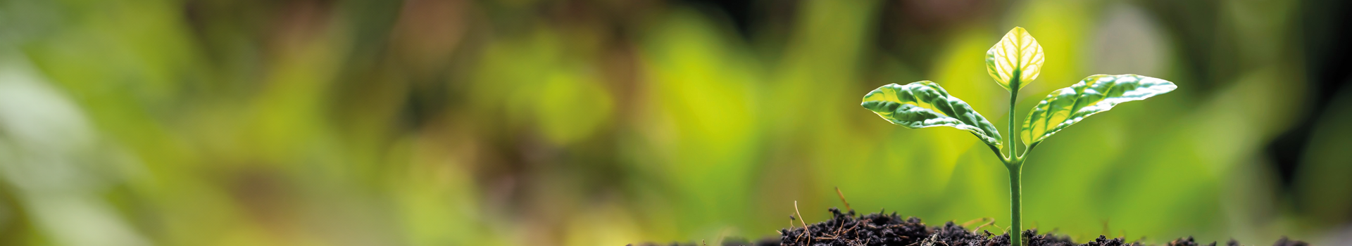 STADA ist in den Top 3% Pharmaunternehmen in Sustainability